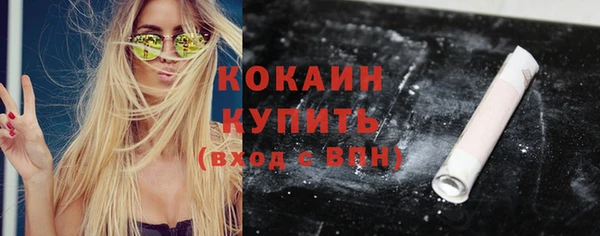 твердый Гатчина