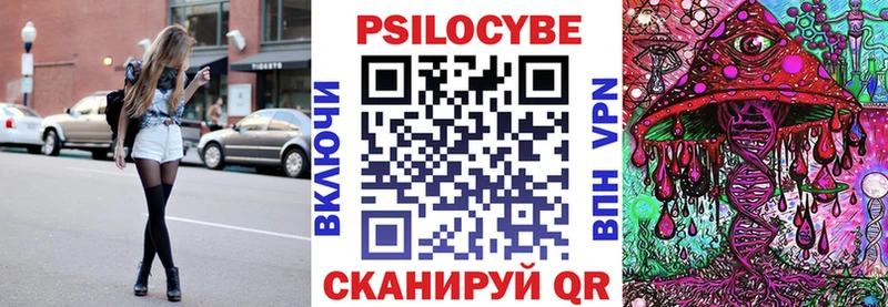 Псилоцибиновые грибы Psilocybe  купить  сайты  Данков 